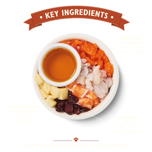 Lily's Kitchen Mangime Secco Fisherman's Feast 5 Lily's Kitchen Mangime Secco Fisherman's Feast – Image 3