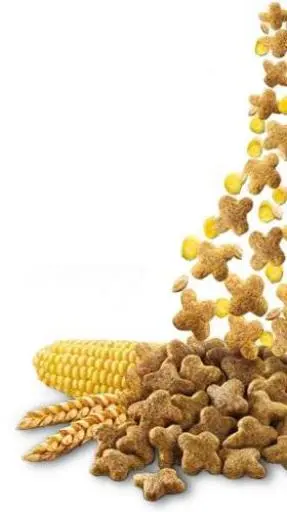 Brekkies Excel Cibo Secco Per Gatti Complet Di Carne E Pesce 6 Brekkies Excel Cibo Secco Per Gatti Complet Di Carne E Pesce – Image 4