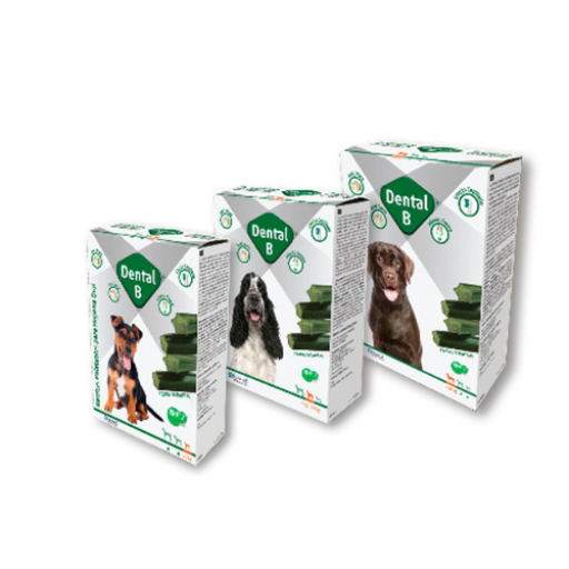 Hifarmax Dental B 8 Hifarmax Dental B – Image 6