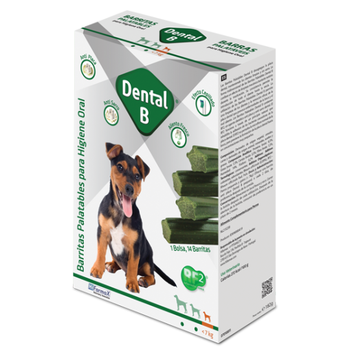 Hifarmax Dental B 4 Hifarmax Dental B – Image 2