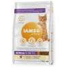 IAMS Cibo Secco Proactive Health Kitten Pollo 2 IAMS Cibo Secco Proactive Health Kitten Pollo -Nourriture pour chien Boutique IAMS Proactive Health Kitten Pollo 64380fee1a293 g