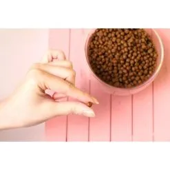 Kit Cat No Grain Hairball Control Con Pollo E Salmone Per Gatti -Nourriture pour chien Boutique IMG 0154copy 1024x1024@2x g