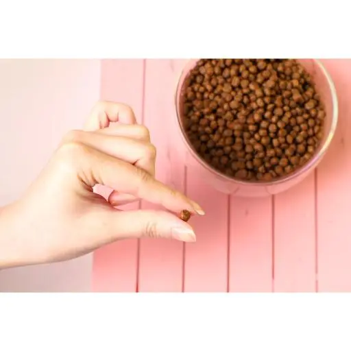 Kit Cat Alimento Per La Pelle E Il Pelo Dei Gatti No Grain Tonno E Salmone 4 Kit Cat Alimento Per La Pelle E Il Pelo Dei Gatti No Grain Tonno E Salmone – Image 2