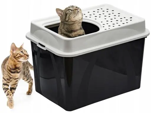 Rotho Gatto Toilette Berty Nero 5 Rotho Gatto Toilette Berty Nero – Image 3