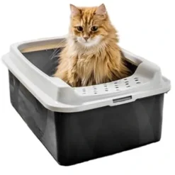 Rotho Bonnie Eco Cat Litter Tray Black 10 Rotho Bonnie Eco Cat Litter Tray Black -Nourriture pour chien Boutique KUWETA TOALETA DLA KOTA Z WEJSCIEM BONNIE DUZA 646b5e3a59a9c g