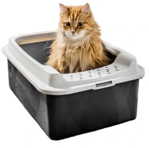 Rotho Bonnie Eco Cat Litter Tray Black 6 Rotho Bonnie Eco Cat Litter Tray Black – Image 4