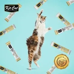 Kit Cat PurrPuree ValuePack Pollo E Salmone -Nourriture pour chien Boutique KitCatPurrPureeSnackHidratante2 f8fcbc9f 3af9 435a b08d b903bcd8bcd3 1024x1024@2x g