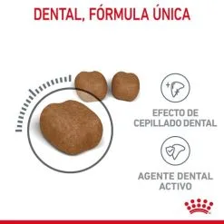 Royal Canin Cibo Secco Per Gatti Oral Care -Nourriture pour chien Boutique RC FCN DentalCare CV 2 es ES 649d6bfb79b54 g