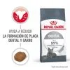 Royal Canin Cibo Secco Per Gatti Oral Care 1 Royal Canin Cibo Secco Per Gatti Oral Care -Nourriture pour chien Boutique RC FCN DentalCare MV 1 es ES 649d6beeef0d3 g