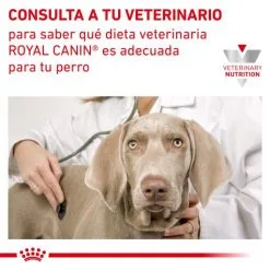 Royal Canin Cibo Secco Per Cani Satiete Small Dog -Nourriture pour chien Boutique RC VET DRY DogSatietyWMSD CV Eretailkit 9 es ES 62fcdf1803acc g