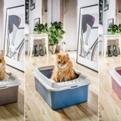 Rotho Bonnie Eco Cat Litter Tray Green -Nourriture pour chien Boutique ROTHO kuweta dla kota BONNIE EAN GTIN 7610859232847 646b5fa96da37 g
