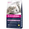 Eukanuba Kitten Pollo E Fegato Healthy Start 1 Eukanuba Kitten Pollo E Fegato Healthy Start -Nourriture pour chien Boutique T90003265 N 192616 640x640 png 625e890d465d1 g