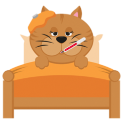 VetNova Multiva Viramax Suplemento Nutracéutico Rico En L-lisina Para Gatos -Nourriture pour chien Boutique Viramax 636cc9a3a6471 g