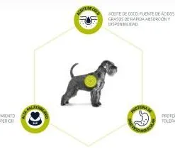 Advance Hypoallergenic Per Gatti 8 Advance Hypoallergenic Per Gatti -Nourriture pour chien Boutique advance pienso perro hypoallergenic 6273ca483cf28 g