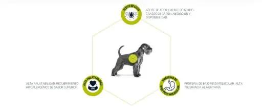 Advance Hypoallergenic Per Gatti 5 Advance Hypoallergenic Per Gatti – Image 3