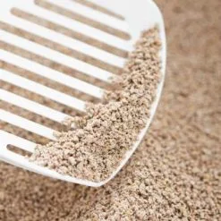 Intersand Sabbia Agglomerante Ecologica Ultrapremium 7 Intersand Sabbia Agglomerante Ecologica Ultrapremium -Nourriture pour chien Boutique arena ecolife 6380b179464a5 g