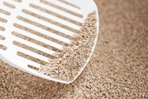 Intersand Sabbia Agglomerante Ecologica Ultrapremium 5 Intersand Sabbia Agglomerante Ecologica Ultrapremium – Image 3