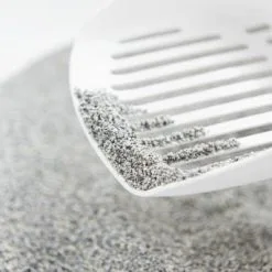 Intersand Lettiera Per Gatti Agglomerato Classic Non Profumato 7 Intersand Lettiera Per Gatti Agglomerato Classic Non Profumato -Nourriture pour chien Boutique arenas odourlock 6380b1df34c55 g