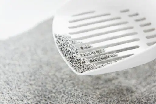 Intersand Lettiera Per Gatti Agglomerato Classic Non Profumato 5 Intersand Lettiera Per Gatti Agglomerato Classic Non Profumato – Image 3