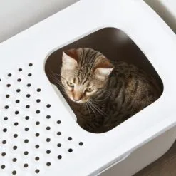 Savic Gato Hop In Sabbia Coperta Antracite -Nourriture pour chien Boutique casita gato hop in 3 g