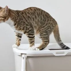 Savic Gato Hop In Sabbia Coperta Antracite -Nourriture pour chien Boutique casita gato hop in 6 g