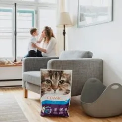 Intersand Lettiera Per Gatti Agglomerato Classic Foresta Del Nord -Nourriture pour chien Boutique classic bosque nordico aglomerante 3 g