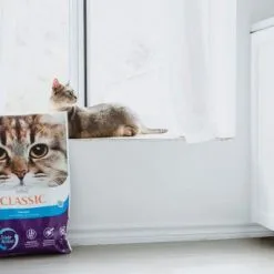 Intersand Lettiera Per Gatti Agglomerato Classic Lavender 8 Intersand Lettiera Per Gatti Agglomerato Classic Lavender -Nourriture pour chien Boutique classic lavanda aglomerante 3 g