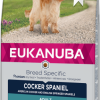 Eukanuba Cocker Spaniel