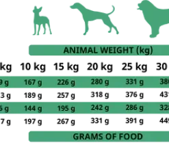 Alpha Spirit The Only One Anatra 9 Alpha Spirit The Only One Anatra -Nourriture pour chien Boutique duck cdr dry 480x480 62a9955ee87b4 g