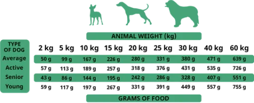 Alpha Spirit The Only One Anatra 6 Alpha Spirit The Only One Anatra – Image 4