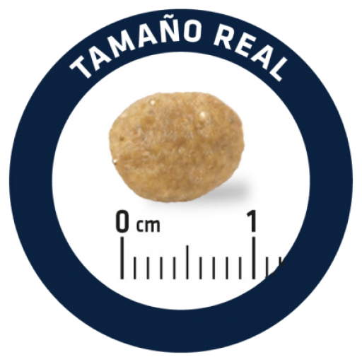 Advance Hypoallergenic Per Gatti 6 Advance Hypoallergenic Per Gatti – Image 4