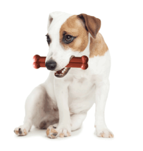 Tastybone Twinpack Carne Di Manzo Wellington E Cordon Bleu 5 Tastybone Twinpack Carne Di Manzo Wellington E Cordon Bleu – Image 3