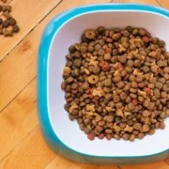 Nourriture pour chien Boutique -Nourriture pour chien Boutique ingredienti sfondo 4 2bb074ee 62cff47032441 g