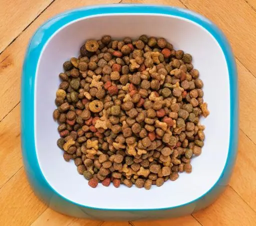 Primordial Cibo Secco Per Gatti Adult Anatra E Tacchino 4 Primordial Cibo Secco Per Gatti Adult Anatra E Tacchino – Image 2