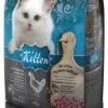 Leonardo Cibo Secco Kitten