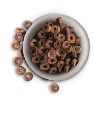 Leonardo Cibo Secco Adult Complete 32/16 4 Leonardo Cibo Secco Adult Complete 32/16 – Image 2