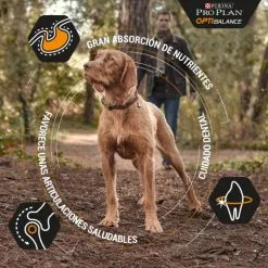 Pro Plan Optibalance Duo Délice Pollo Adulti Small/Mini -Nourriture pour chien Boutique optibalance duo delice adult pollo small mini 2 g