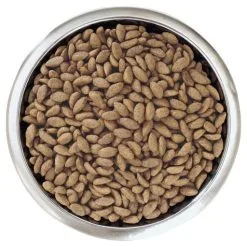 Pro Plan Optiderma Adulti Salmone Large Robust -Nourriture pour chien Boutique optiderma adult salmon large robust 3 g