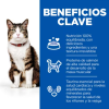 Hill's Pienso Science Plan Feline Culinary Creations Adult +1 Salmón Y Zanahorias -Nourriture pour chien Boutique pienso hills gato adulto 6474b5821ca07 g