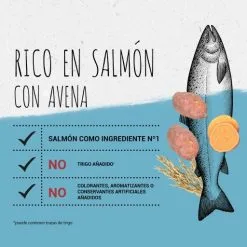 Beyond Cibo Secco Simple 9 Dog Salmone -Nourriture pour chien Boutique pienso simply 9 dog salmon 2 g