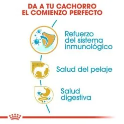 Royal Canin Poodle Puppy -Nourriture pour chien Boutique poodle puppy 3 g