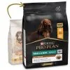 Pro Plan Optibalance Duo Délice Pollo Adulti Small/Mini -Nourriture pour chien Boutique pro plan duo delice small mini racao seca para cao adulto pequeno frango 63f67e43bf8c6 g