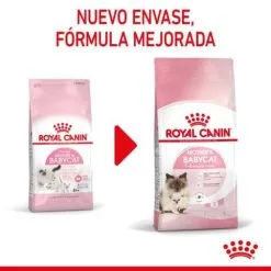 Royal Canin Mother And Babycat -Nourriture pour chien Boutique rc spt dry babycat cv 1 es es 1 626664e678f43 g