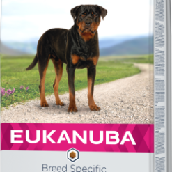 Eukanuba Rottweiler