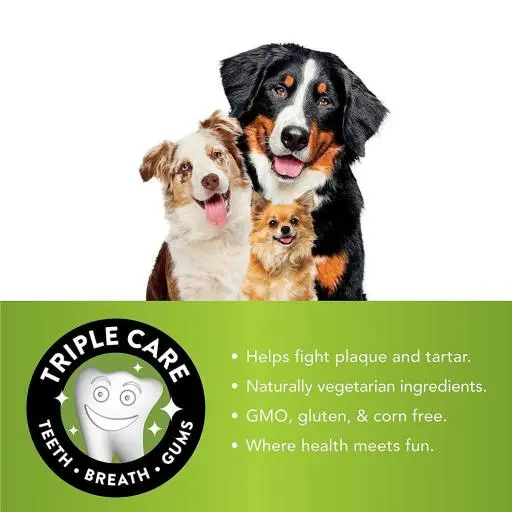 Whimzees Snack Sticks Dentales Estrella Para Perros 8 Whimzees Snack Sticks Dentales Estrella Para Perros – Image 6