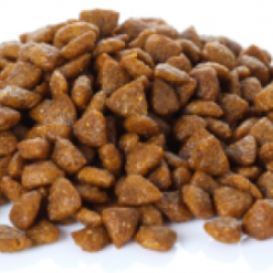 Banters Adult Sensitive 5 Banters Adult Sensitive -Nourriture pour chien Boutique seccion 1 imagen 3 1 2 300x159 62cff9fae0a89 g