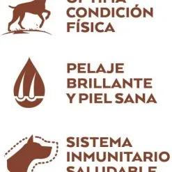 Nature's Variety Cibo Secco High Meat Medium/Maxi Salmone DelisGattoo Con Tonno 14 Nature's Variety Cibo Secco High Meat Medium/Maxi Salmone DelisGattoo Con Tonno -Nourriture pour chien Boutique selected medium adult grain free salmon 4 g