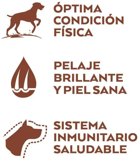 Nature's Variety Cibo Secco High Meat Medium/Maxi Salmone DelisGattoo Con Tonno 6 Nature's Variety Cibo Secco High Meat Medium/Maxi Salmone DelisGattoo Con Tonno – Image 4