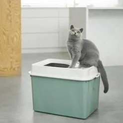 Rotho Gatto Toilette Berty Verde 9 Rotho Gatto Toilette Berty Verde -Nourriture pour chien Boutique vyrp16 17464004605092 7610859232762 pi rgb 102412 64679437d9f62 g