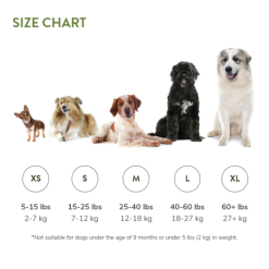 Whimzees Snack Sticks Dentales Estrella Para Perros 16 Whimzees Snack Sticks Dentales Estrella Para Perros -Nourriture pour chien Boutique whimzees brushes size chart 6287caef810e7 g